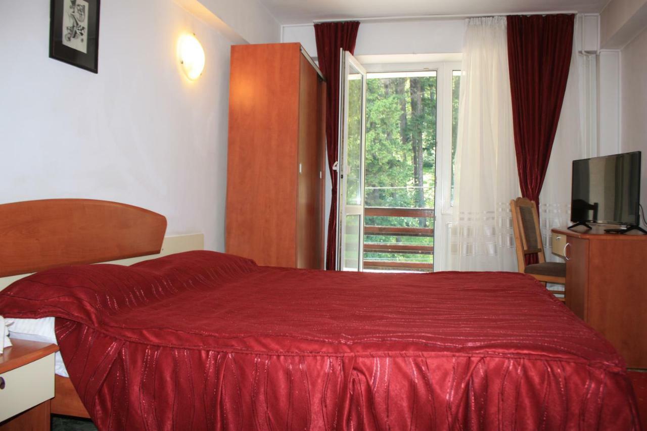 Vila Mihail Hotel Buşteni Exterior foto